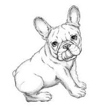 Check spelling or type a new query. Bulldog Sketch Vector Illustration Of French Bulldog Drawn Puppy Buy This Stock Vector And Explore Si French Bulldog Drawing Dog Sketch French Bulldog Art