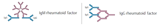 Rheumatoid Factor Rf Test Principle Procedure