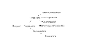 Image result for Second Generation Progestin