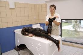 Republicii 2 din eforie nord, ☎ telefon 0241/741.335 cu indicații rutiere. Tratament Balnear In Eforie Nord Balneomedica Ro