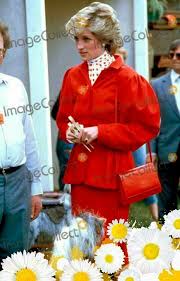 Pin By Carol Schwing On Diana Diana Princess Diana Lady Diana Spencer