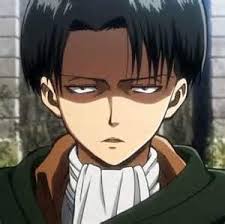 I think Levi is the baby daddy of Historia 😌 P.S I don't ship them!