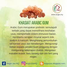 Dengan izin allah lepas cuba al manna tak perlu lagi dialisis. Khasiat Arabic Gum Al Manna Angio Jus Kolesterol Dan Jantung