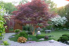 Having a small backyard shouldn't stop you from planting trees! 5 Best Behaved Trees To Grace A Patio