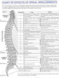Chart Of Effects Of Spinal Misalignments Chiropractor