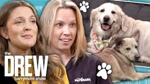 Drew Learns the Expert Way to Groom Her Dogs Douglas and Lucy