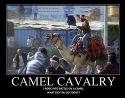 Not knowing how to use it, she comes back from her trip still with the genie lamp not used. Camel Puns