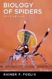 We actually don't have the true brown recluse in greater brown recluse spiders outside are found in utility boxes, around rocks, under leaves, and in wood piles. Pdf Biology Of Spiders Wilder Ferney Zapata Murillo Academia Edu