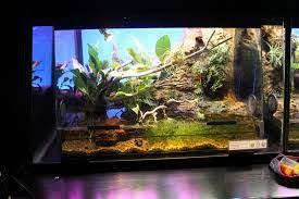 Paludarium Waterfall Construction Google Search Waterfall Construction Aquarium