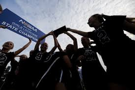 Image result for Rennera laxa