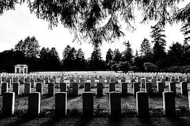 After graduating from phillips exter academy at exter, new hampshire in 1860, he. Hd Wallpaper Hamburg Germany Tombstone Park Black Tree Black And White Wallpaper Flare