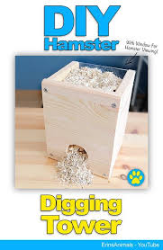 Small Pet Cages Diy Animals 33 Ideas For 2019 In 2020 Hamster Hamster Ideen Nagetiere
