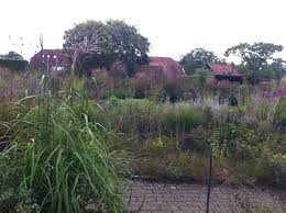 Piet Oudolf Hummelo Photo By Nicola Berry Time And Space Garden And Planting Design Plant Design Plants Piet