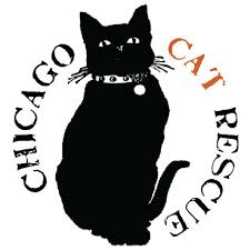 Our petmatch tool matches your preferences with pet personality traits to find you the perfect pet! Pets For Adoption At Chicago Cat Rescue In Chicago Il Petfinder