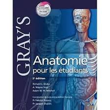 Gray S Anatomie Pour Les Etudiants Livre Anatomie Gray S Anatomie Livres Gratuits En Pdf