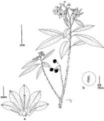 Our craft store in mcallen, tx helps make creativity happen! Subgenerum