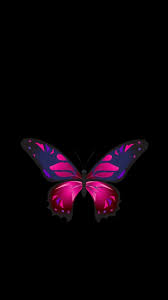 The great collection of butterflies background wallpaper for desktop, laptop and mobiles. Butterfly Patterns Wings Dark Background Wallpaper Cool Backgrounds