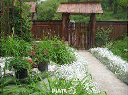 Anunturi case de vanzare in cluj. Imobiliare Case La Tara De Vanzare Mrm Imobiliare Vinde Casa In Vistea Imaginea 1 Din 8 Cluj Napoca Plants Case