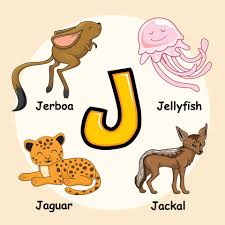 Oh, letter oo we do like you! Animals Alphabet Letter J For Jellyfish Jaguar Jackal Jerboa 3281063 Vector Art At Vecteezy