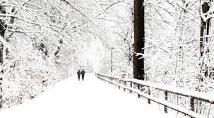Trivia, the word, comes from the latin word trivialis. Winter Fun Facts Seasons Snow Weather Temperature