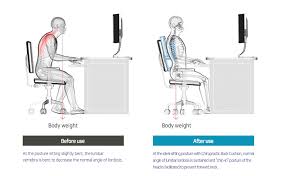 Amazon Com Balancecord Chiropractic Memory Foam Back Cushion With Orthopedic Design Great For Office Computer Chair Lumbar Support Pillow For Back Pain Home Kitchen