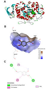 Image result for Rytigynia monantha