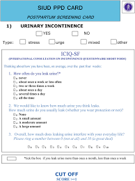 Image result for Three Incontinence Questions