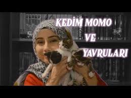 Kedim Momo Ve Yavrulariyla Tanisin Youtube Kedi