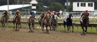 A day of racing at canterbury park and kevin v. Horse Racing Community Asks Gov Wolf To Open Starting Gates Before Money For Care Runs Out Witf