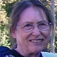 The Drowning Man (Wind River Reservation, #12) by Margaret Coel