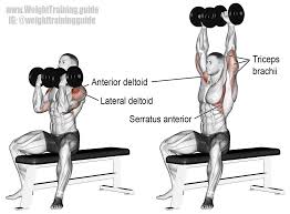 Arnold Press Exercise Instructions And Video Weight Training Guide Shoulder Workout Best Shoulder Workout Exercise