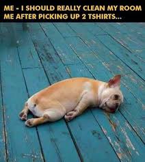 80 Awesome Dog Meme Meme Centrl Clean meme central dog memes. 80 awesome dog meme meme centrl