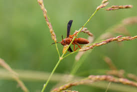 Maybe you would like to learn more about one of these? 4 Tips For Photographing Bugs And Insects