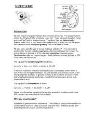 Animal and yeast cell respiration. Super Yeast
