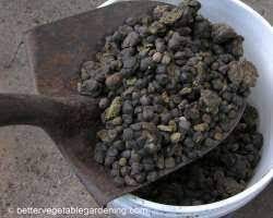 Maybe you would like to learn more about one of these? Using Sheep Manure For Fertilizing The Vegetable Garden