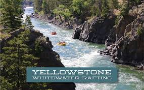 Maybe you would like to learn more about one of these? Yellowstone Whitewater Rafting Paradise Adventure Company
