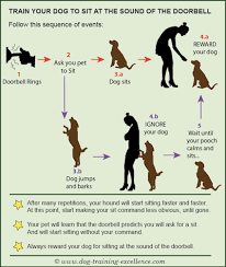 Wait for him to stop barking, then when he does, issue the 'quiet' command and give him a treat. 5 Ways To Stop A Barking Dog Effectively
