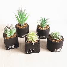 Office plants can increase the humidity around a desk, remove toxins from the air,﻿﻿ and add a aloe plants are easy to grow if they are supplied with one essential ingredient: Love Mini Potted Plants Small Artificial Succulents With Cement Pot For Office Desk Decoration Buy Artificial Plants And Flowers Plastic Artificial Plants With Cement Pot Mini Succulent Plants Bonsai Product On Alibaba Com