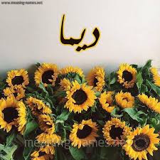 ديما شكل 17 صوره دوار الشمس للإسم بخط رقعة كتابة على الورد 2021
