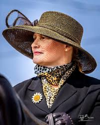 Look at what I found at the Randolph Portage County Fair. Not mine