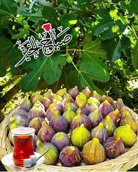pin by nanarichy on اقوال وصباحات brussel sprout sprouts vegetables