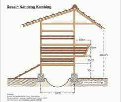 Bangunan kandang kambing ini, sekarang menjadi rumah sekaligus dapur bagi nur yati bersama ayah dan nur yati bersama keluarga, terpaksa tinggal di kandang kambing, setelah rumah yang. Rumah Kambing Model Ukuran Kandang Simple Facebook