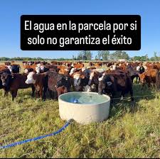 Ana Karen Fregoso's epic escapades - a rare find among adult stars