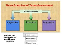 Separation Of Powers Matching Chart By Emily Dragoo Tpt