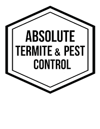 Email photos of pests to our technicians at info@apcpestfree.com. Absolute Termite Pest Control Hawaii Llc Home