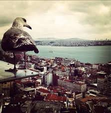 Bir Dakika Sonsuzluk Doldu Tasti Gonlumden Bir Dakika Bir Omru Kurtarmisti Olumden Nazim Hikmet Ran Sonsuzluk Olum Gece