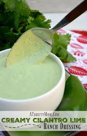 Creamy Cilantro Lime Ranch Dressing Recipe In 5 Minutes Recipe Cilantro Lime Ranch Dressing Lime Ranch Dressing Ranch Dressing Recipe