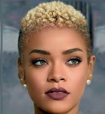 African American Black Short Hairstyles 2018 34 Neue Frisuren Fur Afroamerikanische Manner Und Frauen Pinnel Short Natural Hair Styles Natural Hair Styles Natural Hair Styles For Black Women