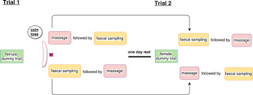 Massage that takes into account the special needs, such as body positioning and cautions, of a pregnant woman. Method Matters Experimental Evidence For Shorter Avian Sperm In Faecal Compared To Abdominal Massage Samples