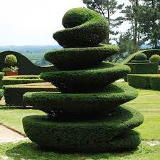 Https Www Facebook Com Pg Dougmark Productions 1845310815736740 About Topiary Garden Garden Hedges Garden Landscape Design